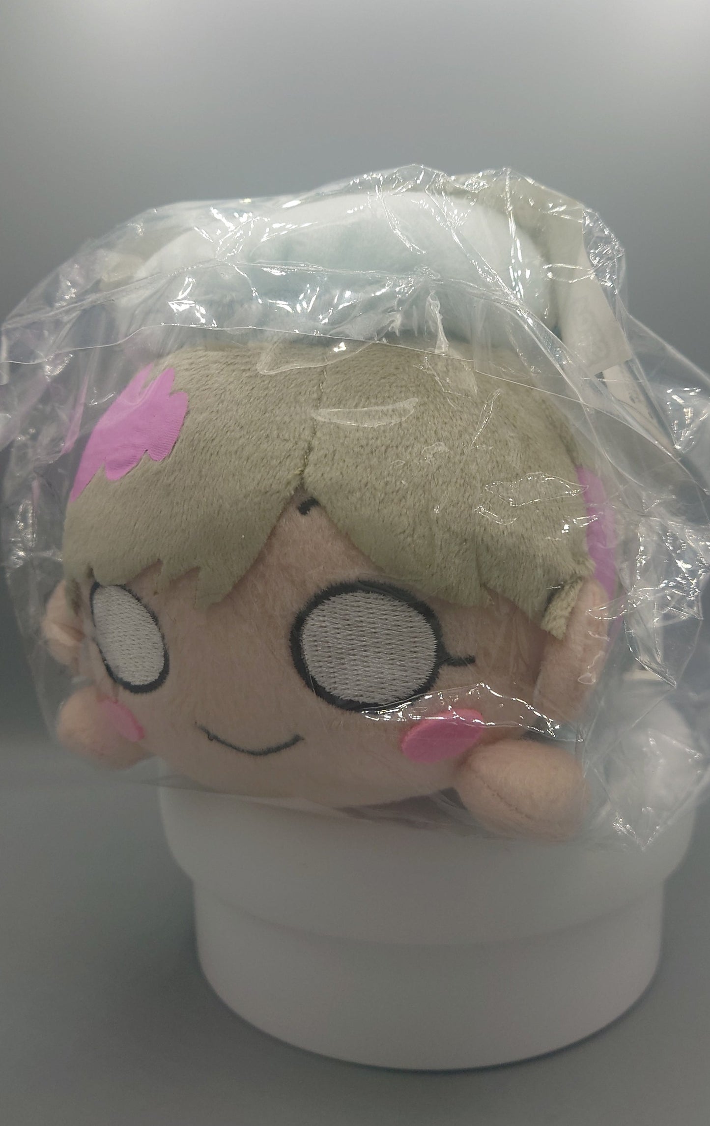 Liella! NNN Nesos
