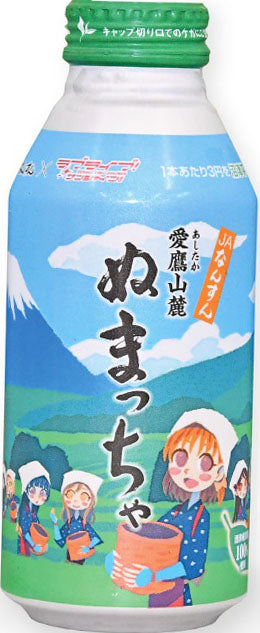 Botellas de metal de té verde coleccionables JA Fujizu Numaccha