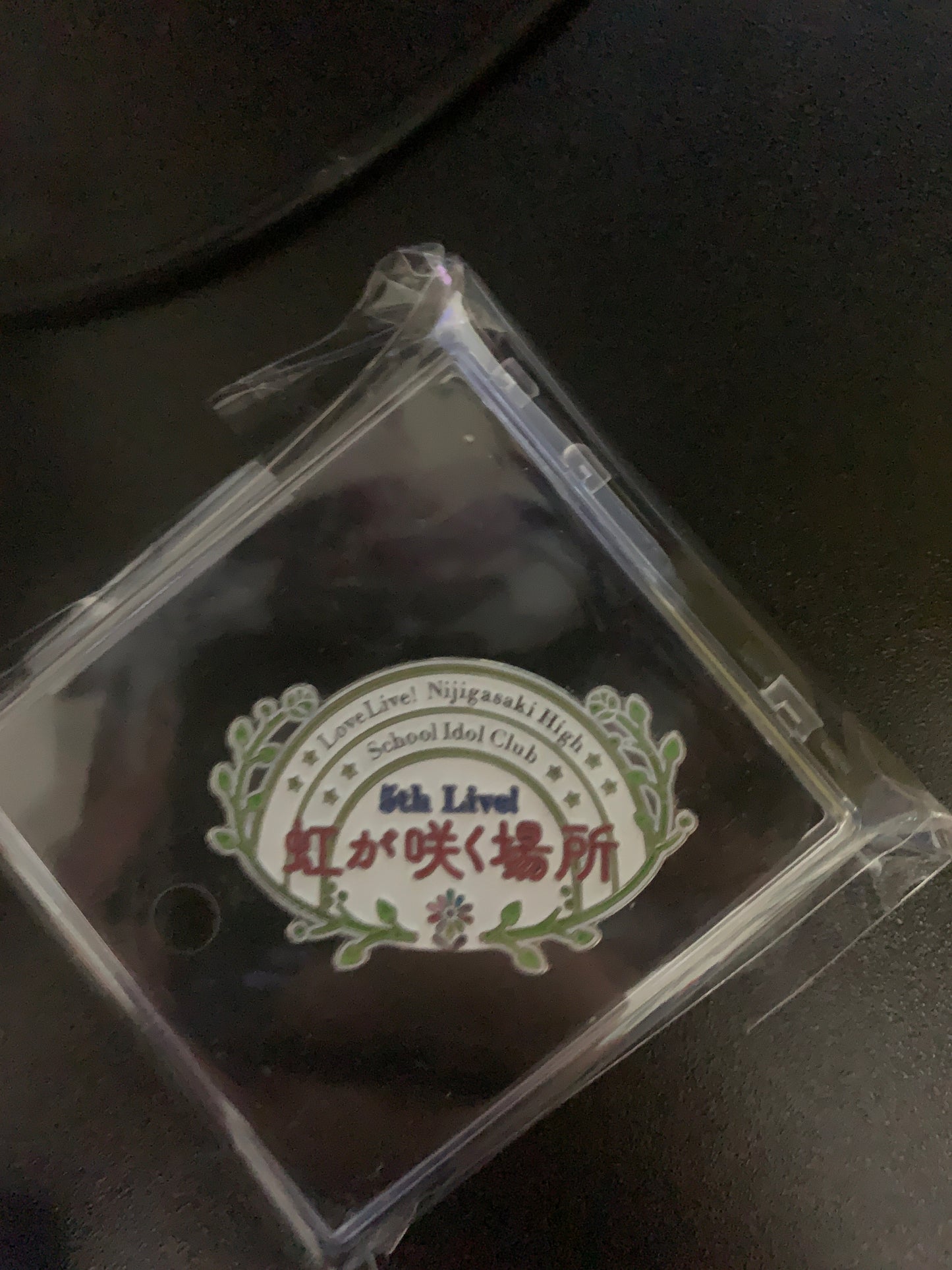 LoveLive! Nijigasaki High School Idol Club Live Pins