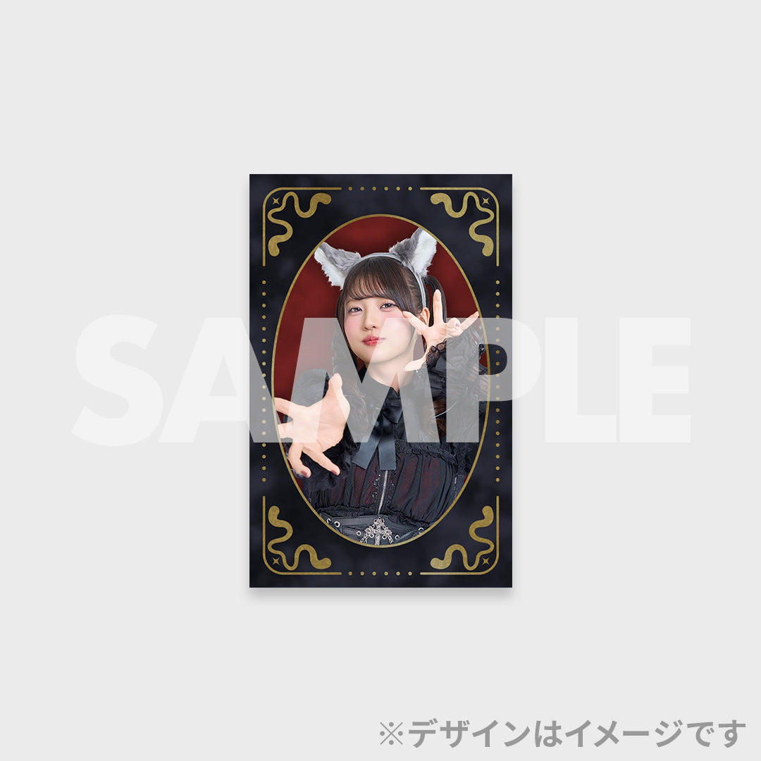 Phantom Siita Kuji Prizes