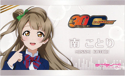 Gamers 30th Anniversary Muse Promotional Business Cards