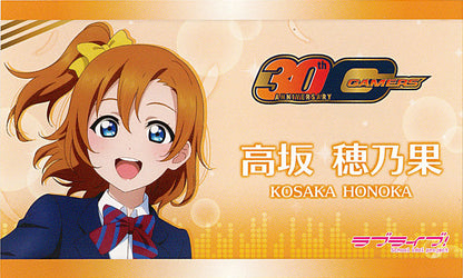Gamers 30th Anniversary Muse Promotional Business Cards