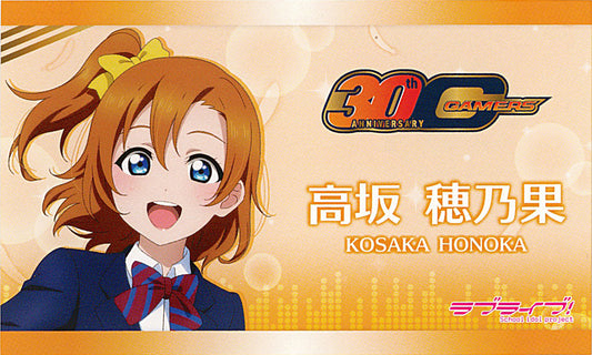 Gamers 30th Anniversary Muse Promotional Business Cards